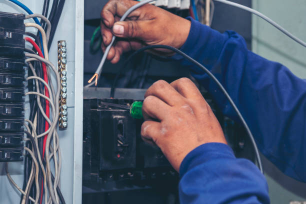 Best Best Electricians Near Me  in Bridgeport, MI